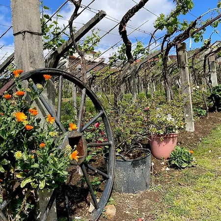 Сasa de vacaciones Casa Rural O Petisco